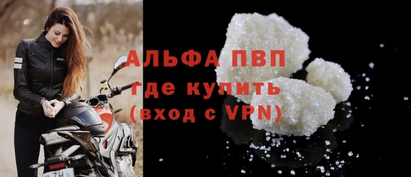 хмурый Щигры