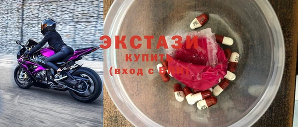 хмурый Щигры