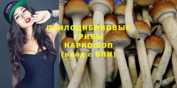 герыч Кинешма