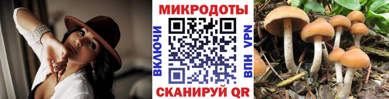 ОМГ ОМГ как войти  Ухта  Псилоцибиновые грибы мухоморы 