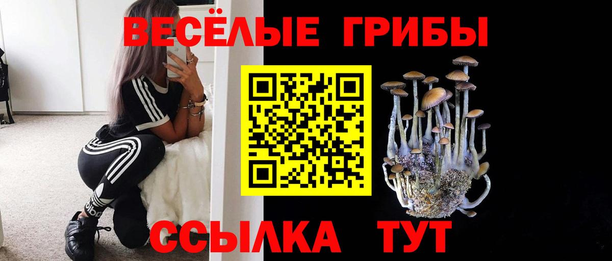 Ухта  Псилоцибиновые грибы Cubensis  Вход с VPN 